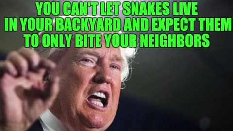 I FINALLY OBTAINED A CLIP OF ICE BREAKING INTO MY "TRUMPTARD" NEIGHBORS HOUSE - King Street News