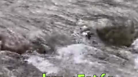 😊 205 ERES LUZ EN EXPANSIÓN Mateo 5:14-16 😊