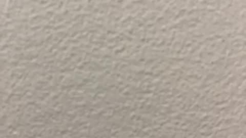 The vaccine 💉 💀