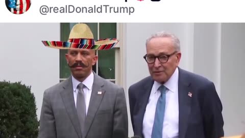 President Donald Trump is the most EPIC TROLL EVER!