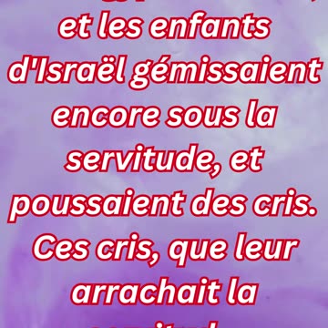 "Le Cri d’Israël et la Réponse de Dieu" Exode 2:23#shorts #youtube #jesus #ytshorts #shortvideo #yt