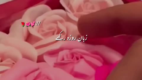 Ramzan Mubarak 🌛🌜