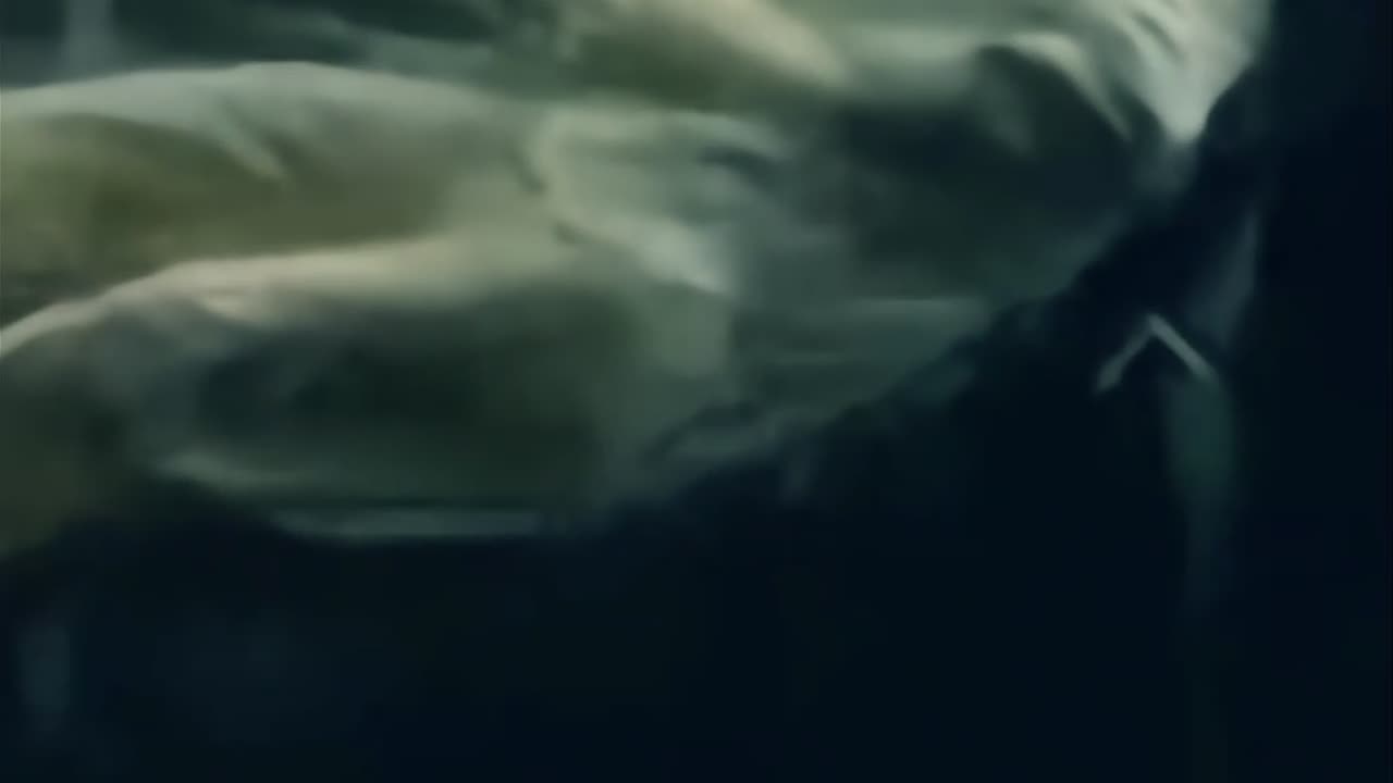 Your Mind Is Holding You Back