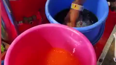 Indian street food, don't eat it
			