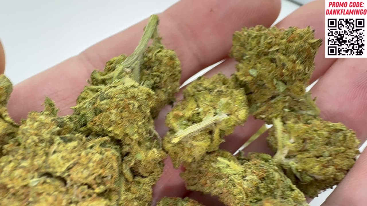 Trying Cherry Pie from Puffy! Dankin with the Flamingos Review!!