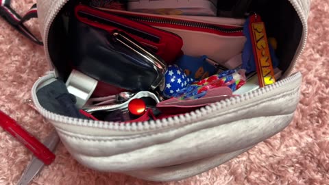 What's in my 4th of July Bag w/ Poppy & Lucy.