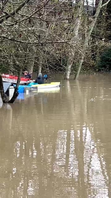 Floods in western WA - chickens are rescued with a Sawsall though the metal roof