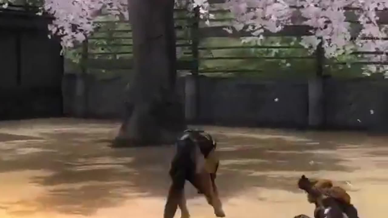 Killing feald. Gamesharked.