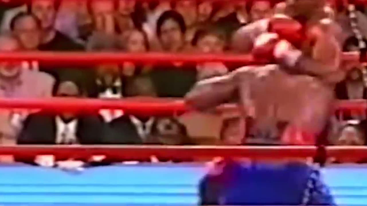 Evander Holyfield vs Hasim Rahman