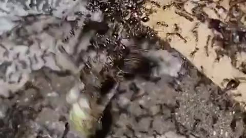 You're Not Getting Away