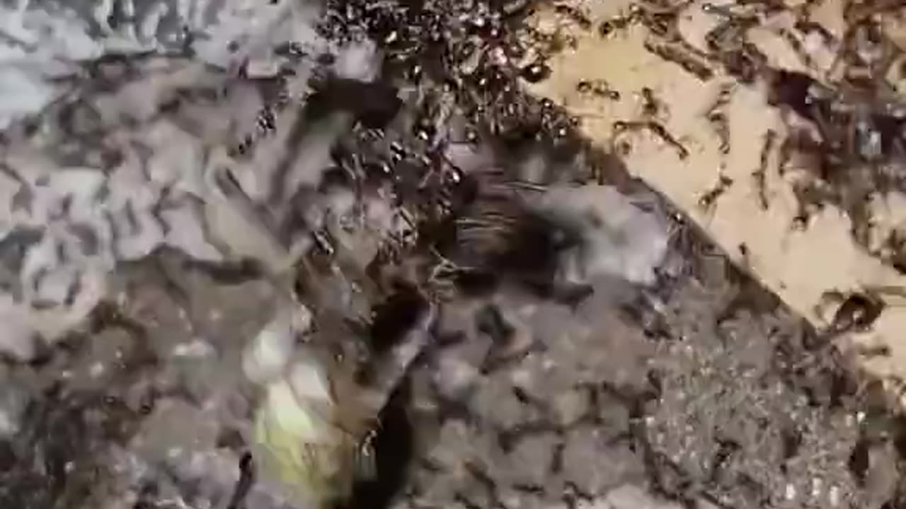 You're Not Getting Away