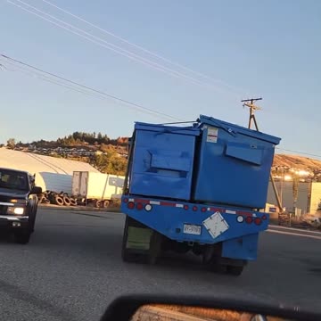 The evil doers up to no good @ the BC Ostrich Farm 🤬