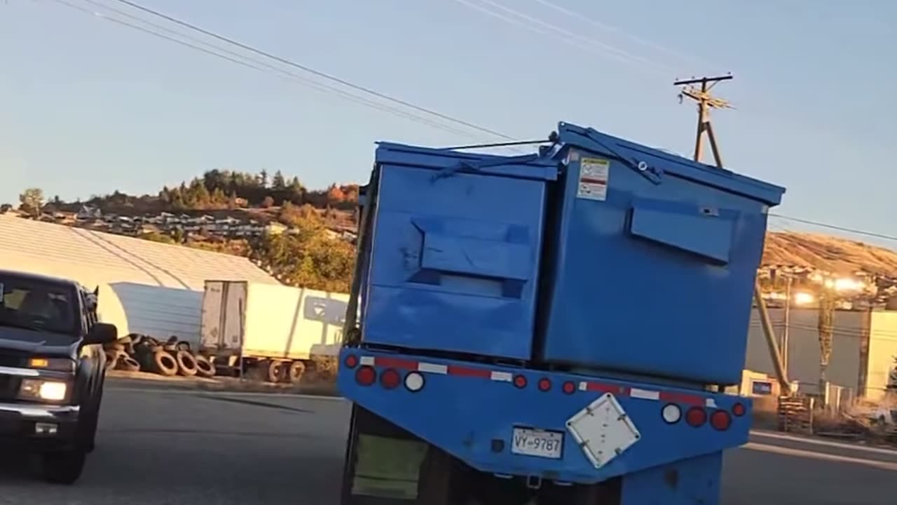 The evil doers up to no good @ the BC Ostrich Farm 🤬