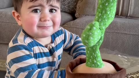 The fun of kids and Cactus toy