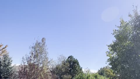 What an awesome day outside