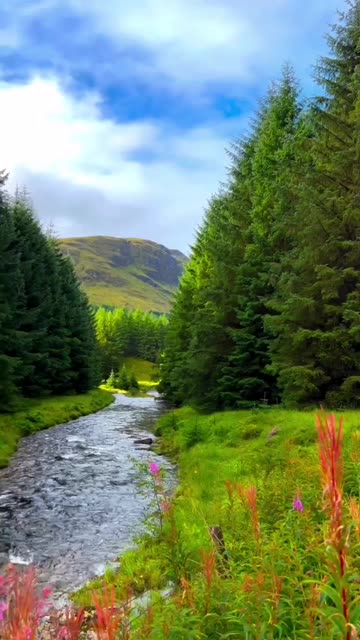 Beauty of Nature - Scotland