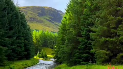 Beauty of Nature - Scotland