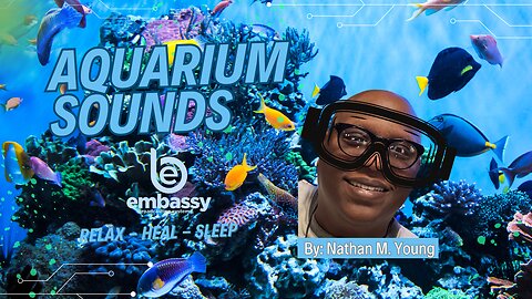 Calming Aquarium Fish Tank | Meditate, Relax, and Sleep To The Sound of Water | NoMusic | 2 Hours 4K