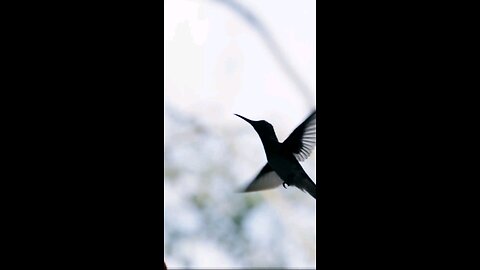 Daily Verse December 16th 2025