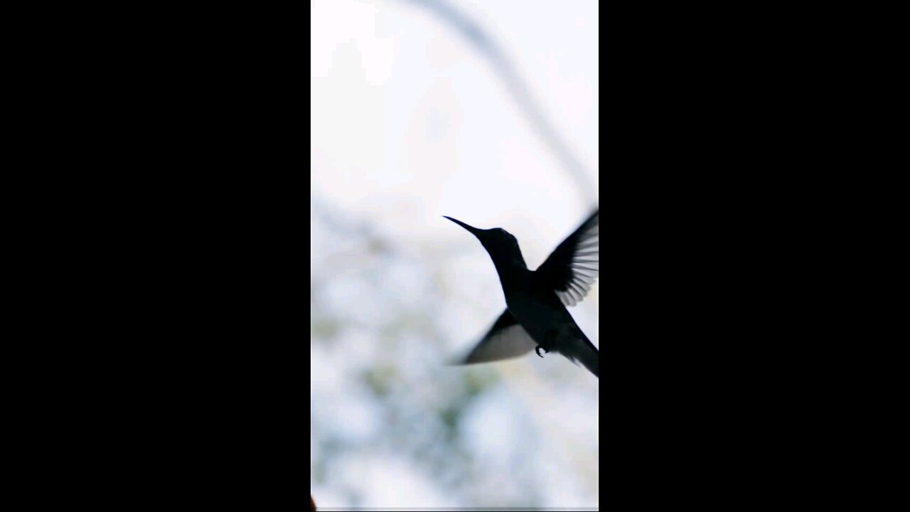 Daily Verse December 16th 2025