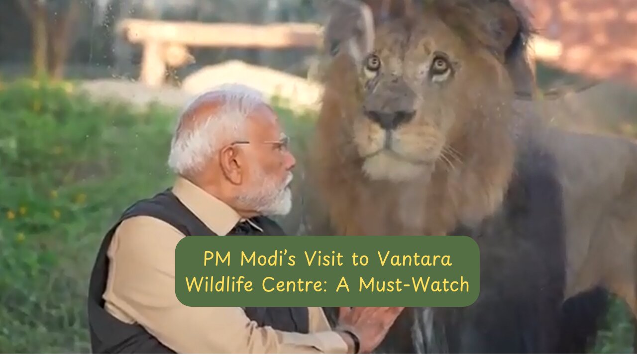 PM Modi’s Visit to Vantara Wildlife Centre: A Must-Watch!.