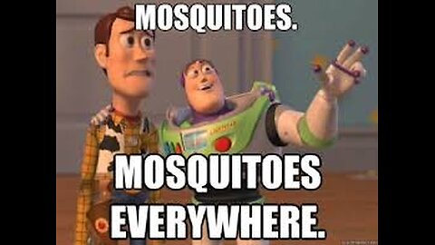 the Epstein Clan Mormons Mafia Bird watch slide show for Nov 2nd 2025 - no audio -