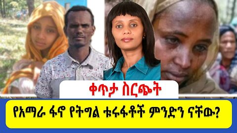 የአማራ ፋኖ የትግል ቱሩፋቶች ምንድን ናቸው?
