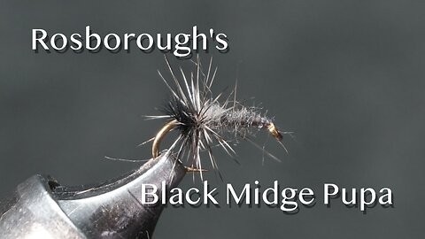Black Midge Pupa: a Polly Rosborough fly