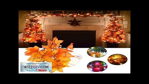 Battery Powered 1.65M 10LEDs Fall Leaves Shaped Indoor Fairy String Light Review