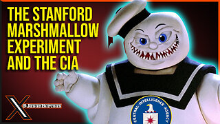 CIA Mind Kontrol Under Another Name?