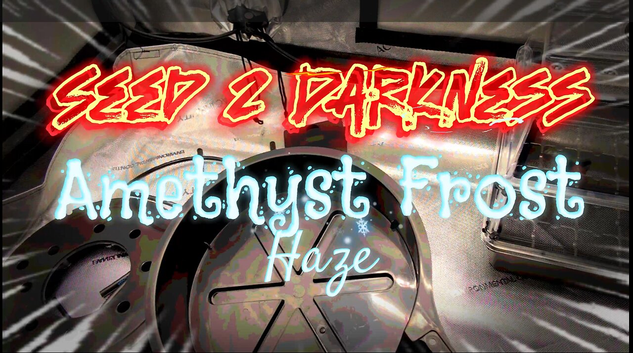 EP. 5 Amethyst Frost Haze Auto by Speedrunseeds 88 Days (Seed 2 Darkness) C+ RANK