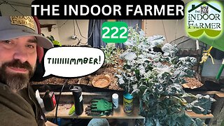 The Indoor Farmer ep 222, Broccoli Fall Down Go Boom. Also Why Wont Any Seeds Pop? Let's Grow