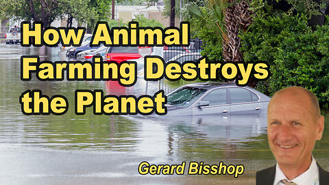 The Hidden Climate Killer: How Animal Farming Destroys the Planet