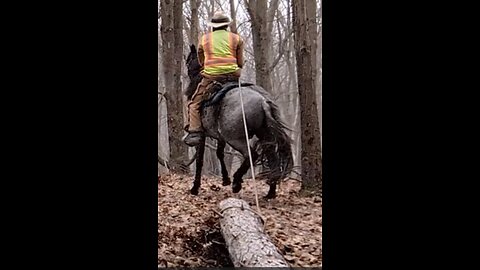 Steele at Waterloo - log drag - Stand-Stay 7 March 2025