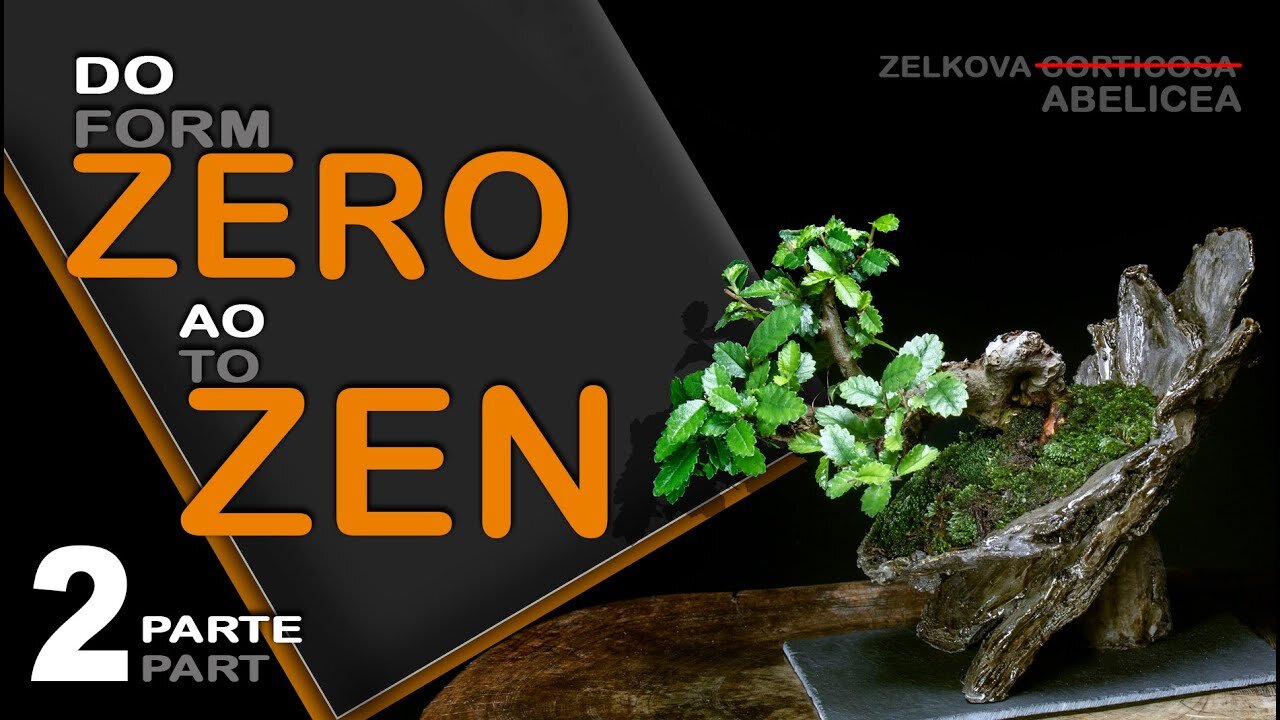 Do Zero ao Zen parte 2: Bonsai SP