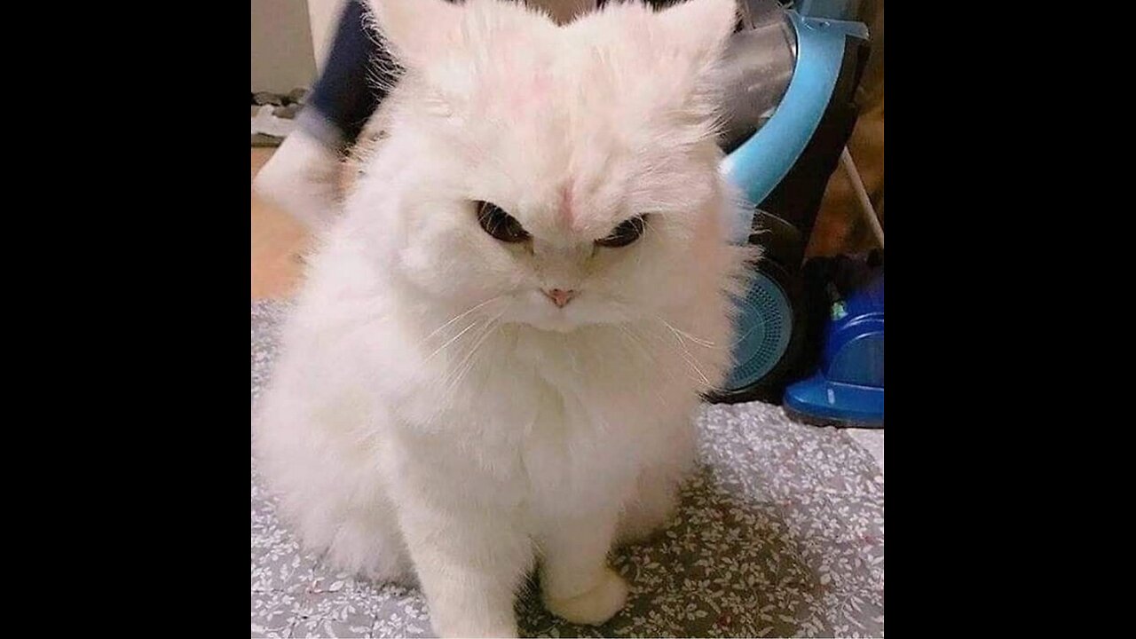 studio session Part 3