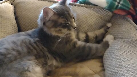 Making biscuits for a snack