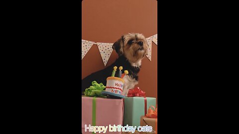 Happy Birthday to the Cutest Pet Ever 🎉🐾