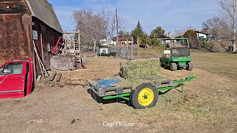 Graham Family Farm: 11:55 AM January 23rd 2025