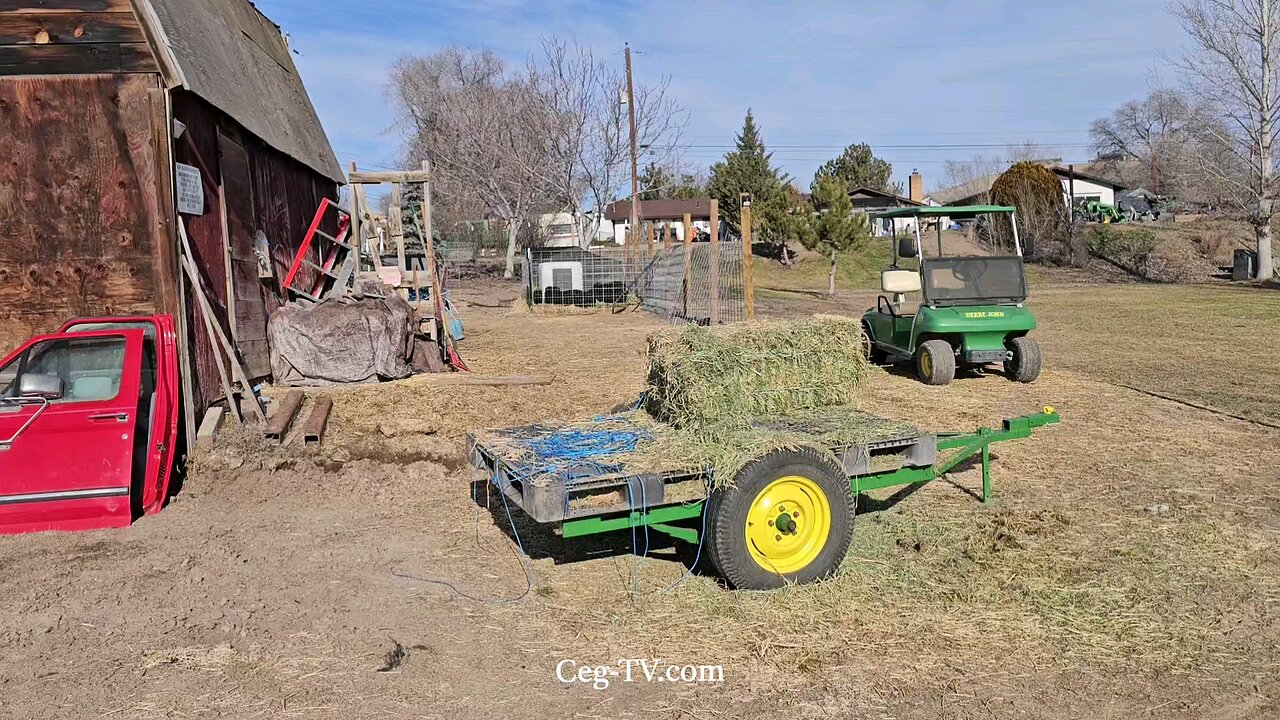 Graham Family Farm: 11:55 AM January 23rd 2025