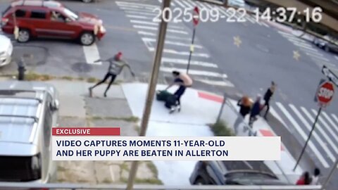 11-year-old girl with epilepsy punched, and kicked while walking her 3-month-old puppy