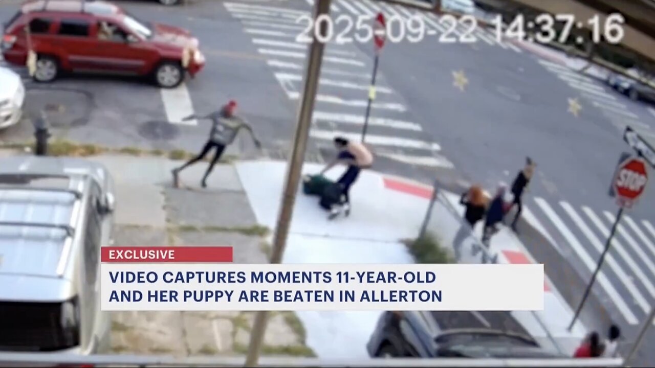 11-year-old girl with epilepsy punched, and kicked while walking her 3-month-old puppy
