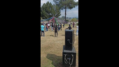 Las Cintas Ensayo de la Camada Pichones