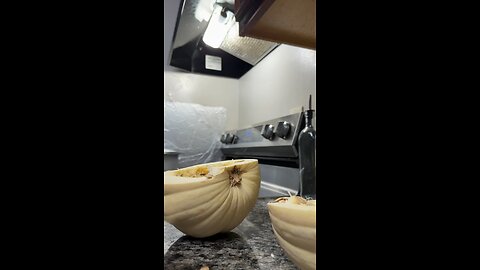 “Different type of pumpkin”🎃🇺🇸