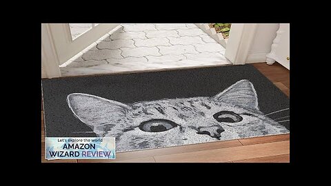 MR FANTASY Cat Door Mat Outdoor Entrance Durable Welcome Mat Mud Absorbent Review