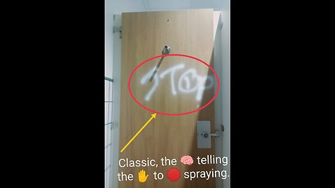 The 2018 Anti Love Rant:Disturbed After Narcissist's Intimacy,Devalue,Anxiety,Distrust.