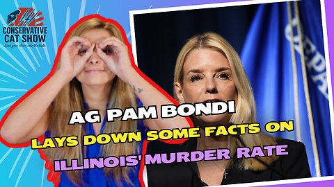 AG Pam Bondi Lays Down Some Facts on Illinois' Murder Rate