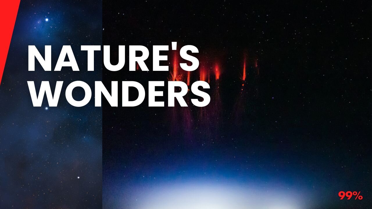 Mind-Blowing Phenomenon Caught on Camera: Unbelievable Natural Moments