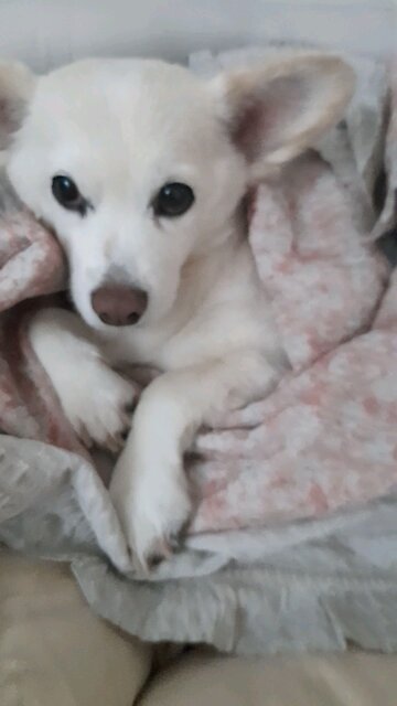 20251010. Jesus Christ