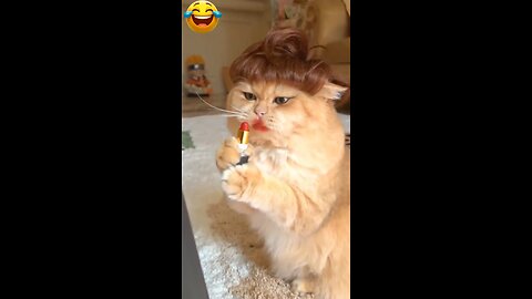 Maine bas itna hi bola—‘Yeh mujhe kya dekhna pad raha hai?!’ 😭😂